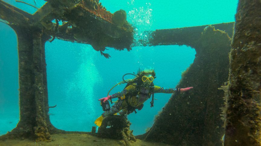 diving-south-florida-big-3