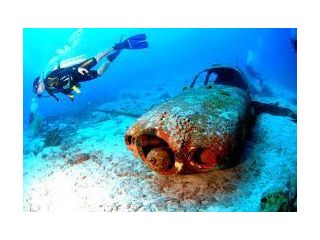 diving-south-florida-small-2