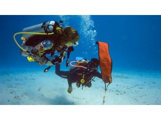 diving-south-florida-small-4