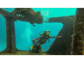 diving-south-florida-small-3