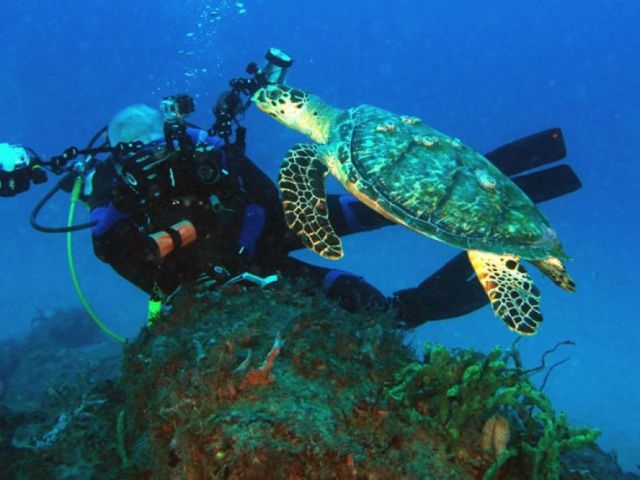 diving-south-florida