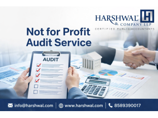 elitequality-not-for-profit-audit-service-by-specialists-small-0