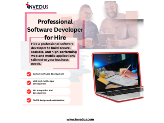 professional-software-developer-for-hire-small-0