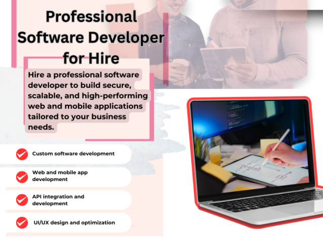 professional-software-developer-for-hire