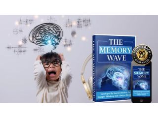 the-memory-wave-be-approven-it-scam-or-trusted-small-0