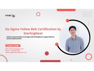 six-sigma-yellow-belt-certification-live-online-and-classroom-small-0