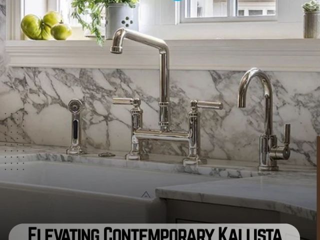elevating-contemporary-kallista-kitchen-faucet