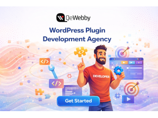 custom-wordpress-plugin-development-agency-qewebby-small-0