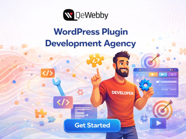 custom-wordpress-plugin-development-agency-qewebby