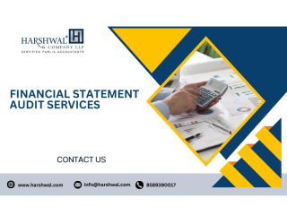enhance-compliance-with-our-financial-statement-audit-services-small-0