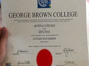 official-diploma-appearance-professional-academic-design