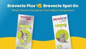 bravecto-plus-vs-bravecto-spot-on-which-one-best-for-your-cat-big-0