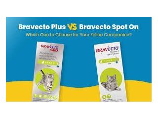 bravecto-plus-vs-bravecto-spot-on-which-one-best-for-your-cat-small-0