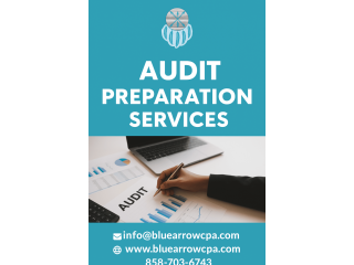 streamlined-workflows-through-expert-audit-preparation-services-small-0