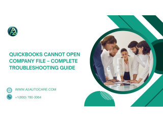 resolve-company-file-access-errors-fast-small-0