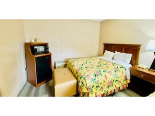 standard-king-smoking-room-in-williamston-nc-small-3