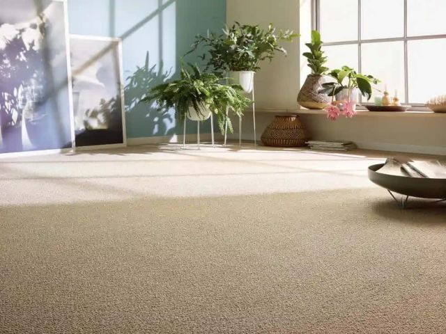 wall-to-wall-carpet-dubai-premium-custom-carpets-for-homes