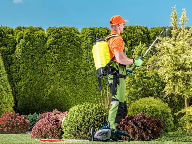fast-reliable-pest-control-services-houston-tx