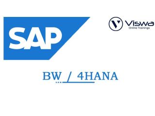 sap-bw4-online-training-from-hyderabad-india-small-0