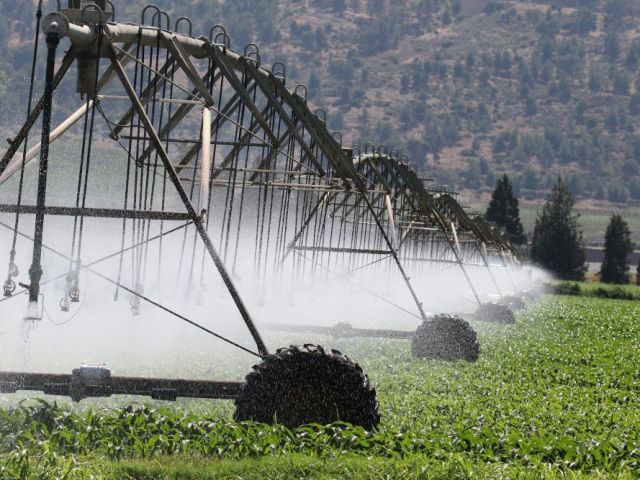 custom-water-system-planning-for-landscapes