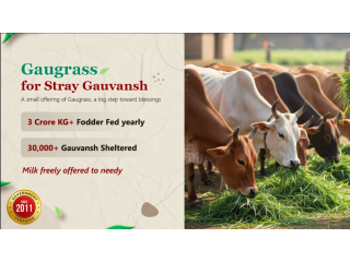 gaugrass-seva-a-noble-way-to-protect-gau-mata-small-0