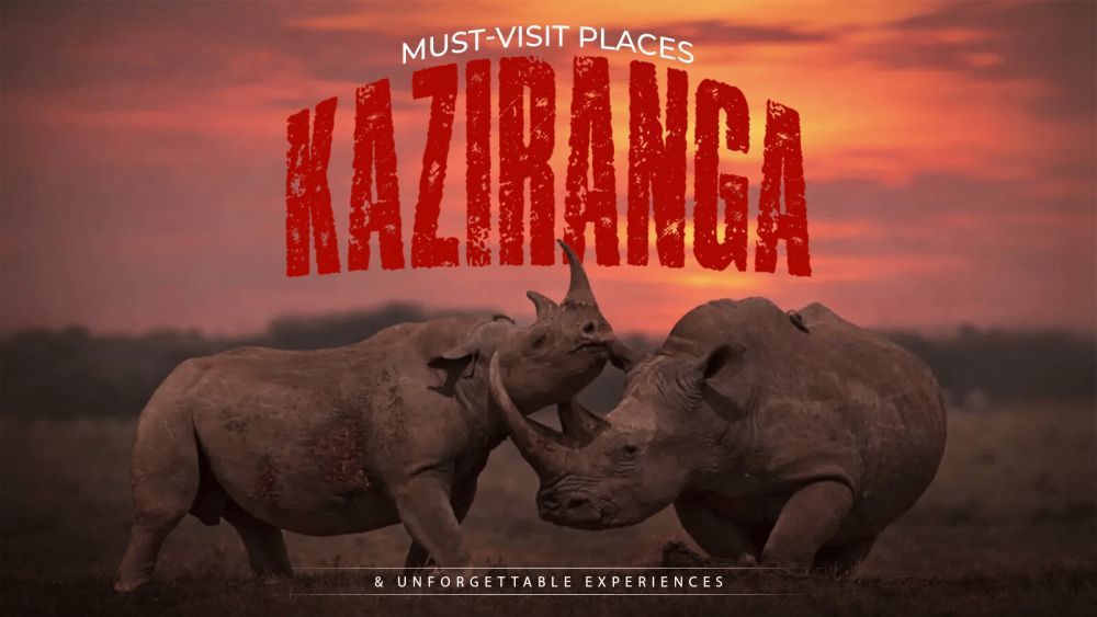 kaziranga-meghalaya-tour-package-7n8d-big-0