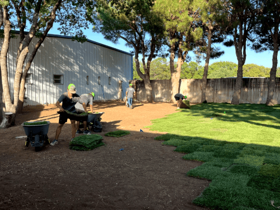 get-landscape-design-lubbock-for-stunning-gardens