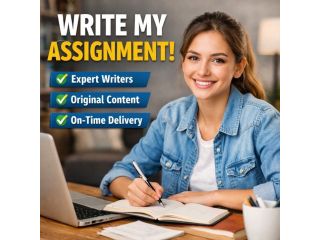 write-my-assignment-expert-academic-help-online-small-0