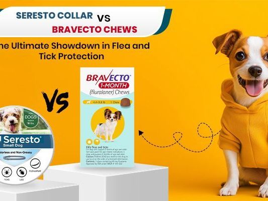 seresto-collar-vs-bravecto-chew-which-one-is-best