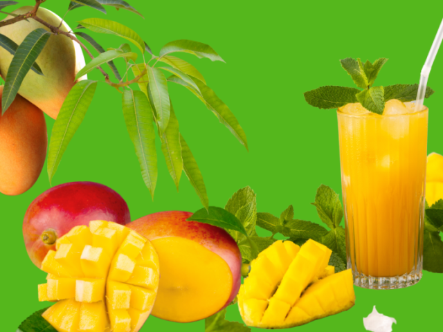 mango-pulp-supplier-exporter-bulk-supply-available