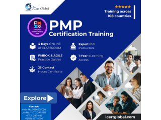 pmp-certification-training-program-small-0