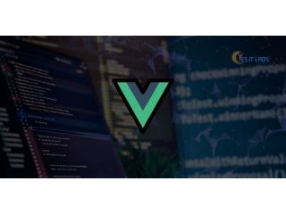 top-rated-vuejs-development-services-in-the-usa-small-0