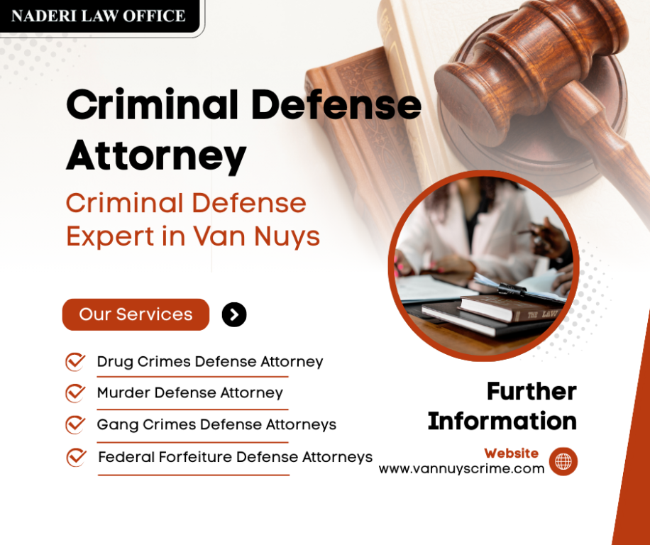 criminal-defense-attorney-van-nuys-san-fernado-big-0