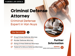 criminal-defense-attorney-van-nuys-san-fernado-small-0
