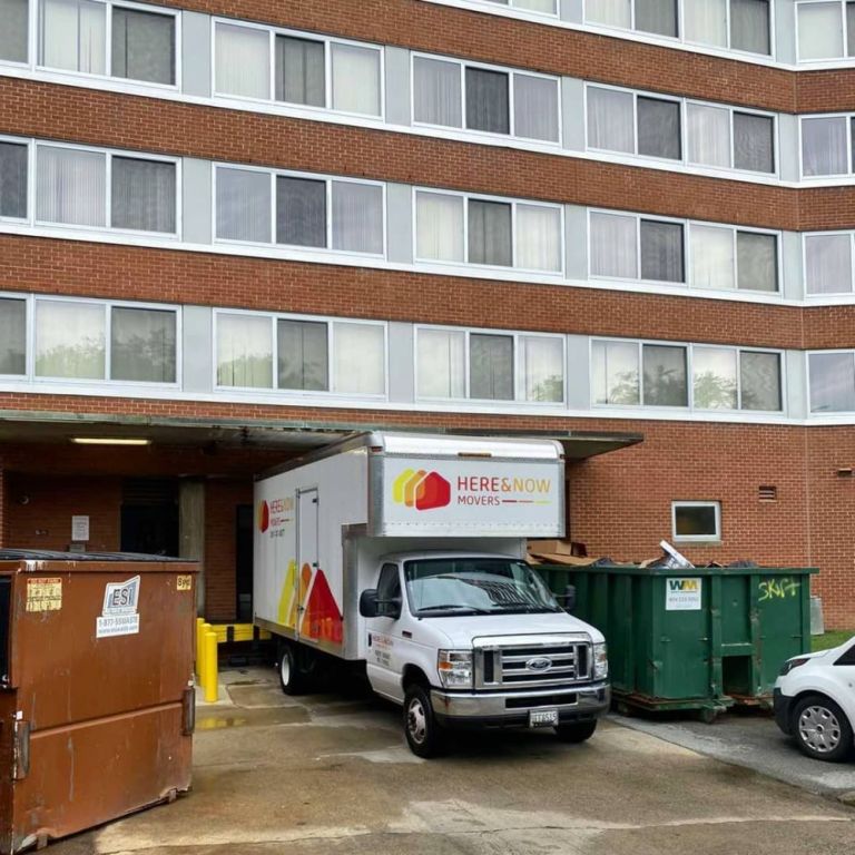 here-now-movers-big-3