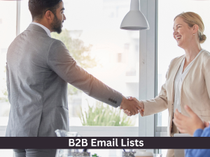 buy-b2b-email-list-for-high-quality-leads