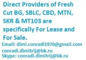 fresh-cut-bg-sblc-pof-mtn-bonds-and-loan-big-0