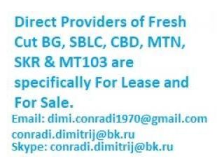 fresh-cut-bg-sblc-pof-mtn-bonds-and-loan-small-0