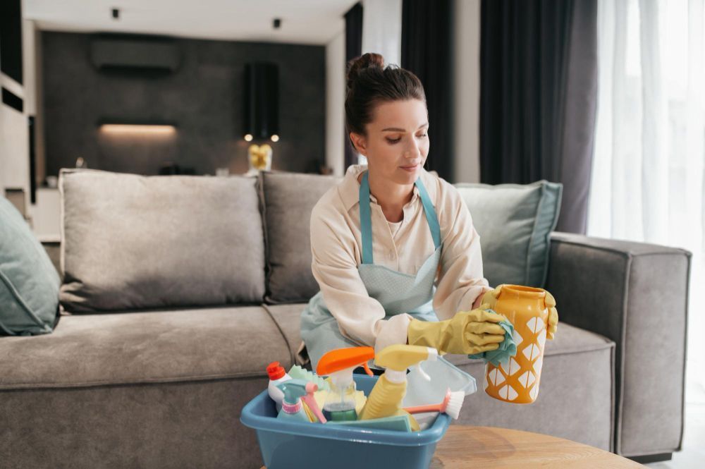 affordable-reliable-house-cleaning-in-los-angeles-big-0