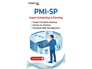 pmi-sp-scheduling-professional-master-project-timelines-small-0