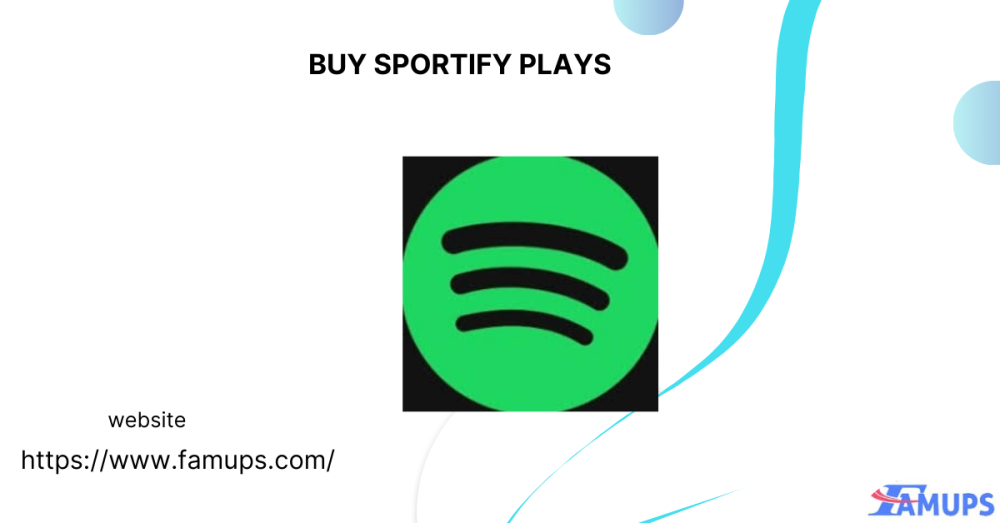 buy-spotify-plays-to-boost-your-music-popularity-fast-big-0