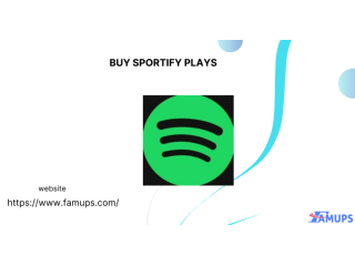 buy-spotify-plays-to-boost-your-music-popularity-fast-small-0