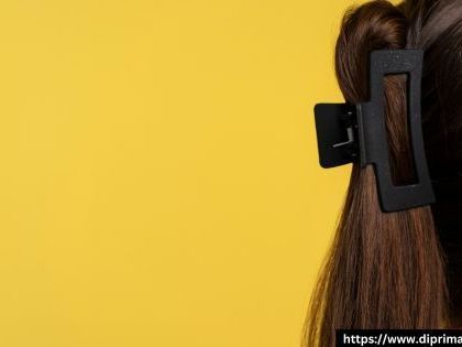 fashionable-hair-clamps-for-beautiful-hairstyles
