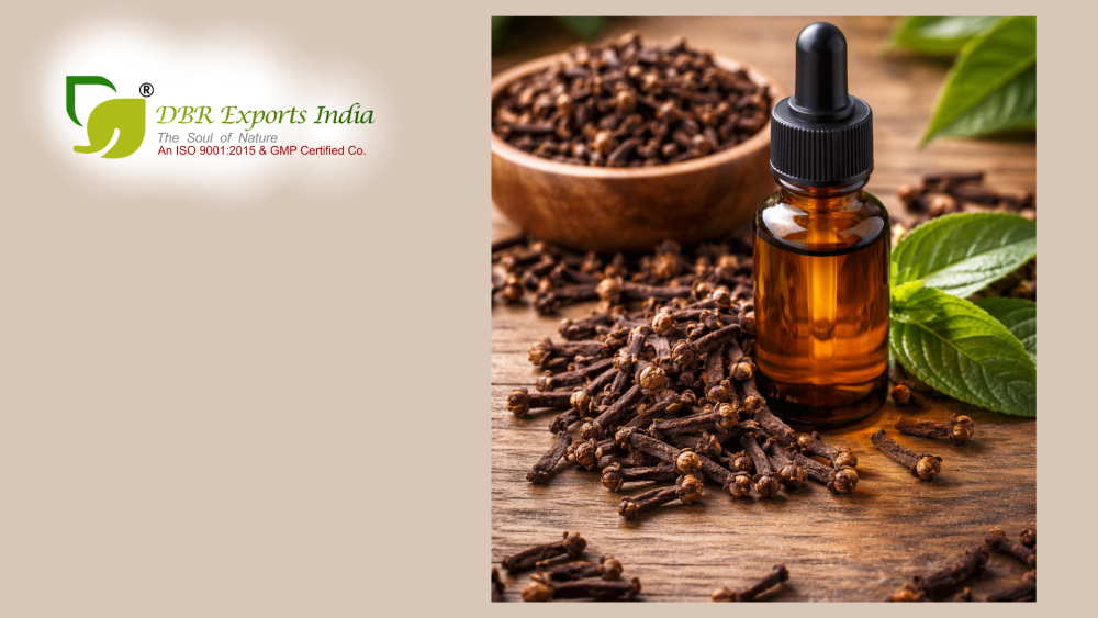 clove-bud-essential-oil-benefits-for-natural-wellness-big-0