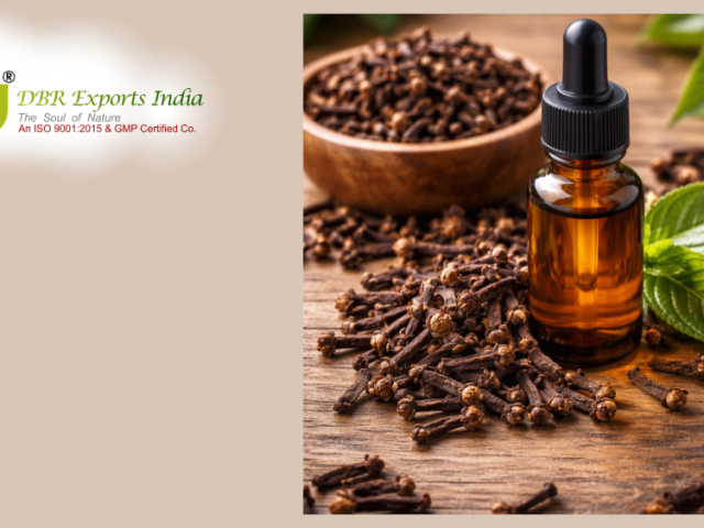 clove-bud-essential-oil-benefits-for-natural-wellness