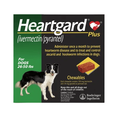 buy-heartgard-plus-for-dogs-get-30-off-on-heartworm-prevention-big-0