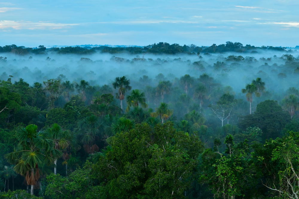 manu-national-park-from-cusco-adventure-palotoa-amazon-travel-big-0