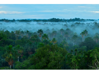 manu-national-park-from-cusco-adventure-palotoa-amazon-travel-small-0