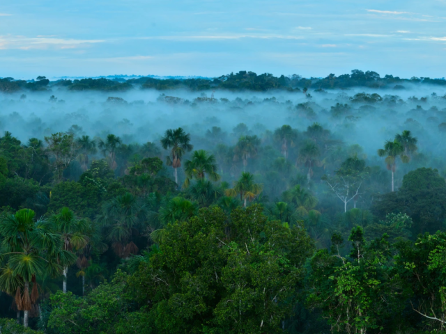 manu-national-park-from-cusco-adventure-palotoa-amazon-travel