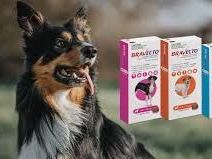 bravecto-for-dogs-long-lasting-flea-tick-protection